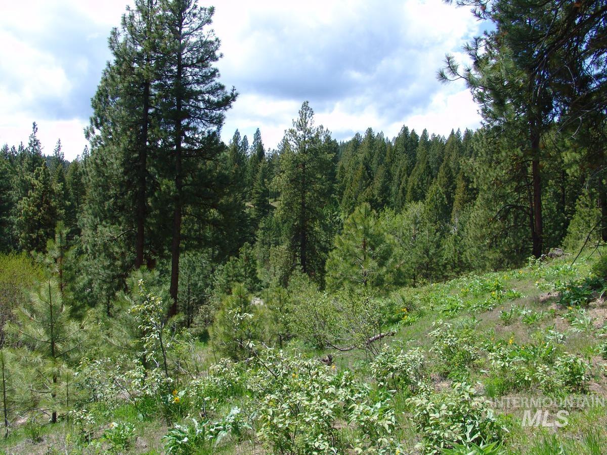 28 Rehn Loop Cascade, ID 83611 - Photo 8 of 13