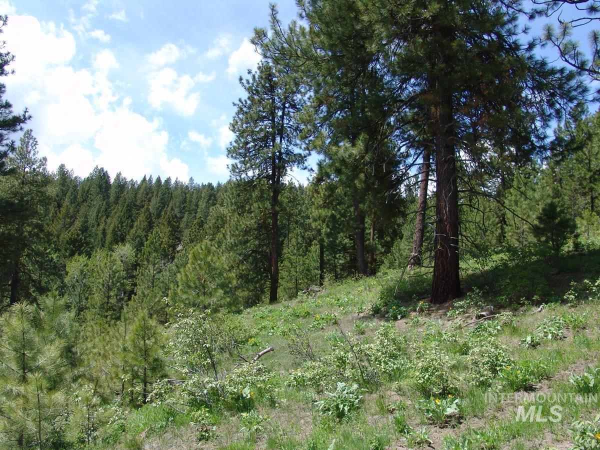 28 Rehn Loop Cascade, ID 83611 - Photo 10 of 13