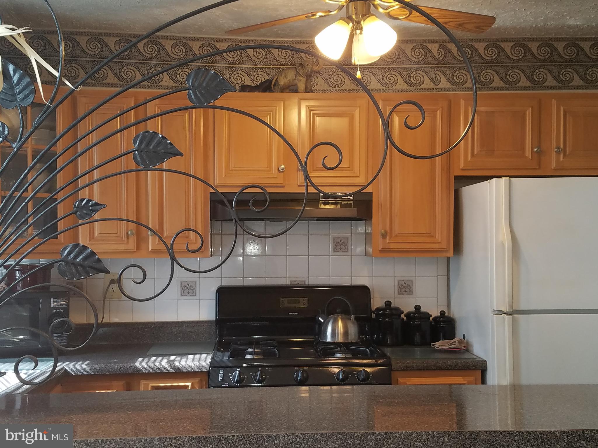 7704 Rugby Street Philadelphia, PA 19150 - Photo 5 of 28 Gallery Image 5