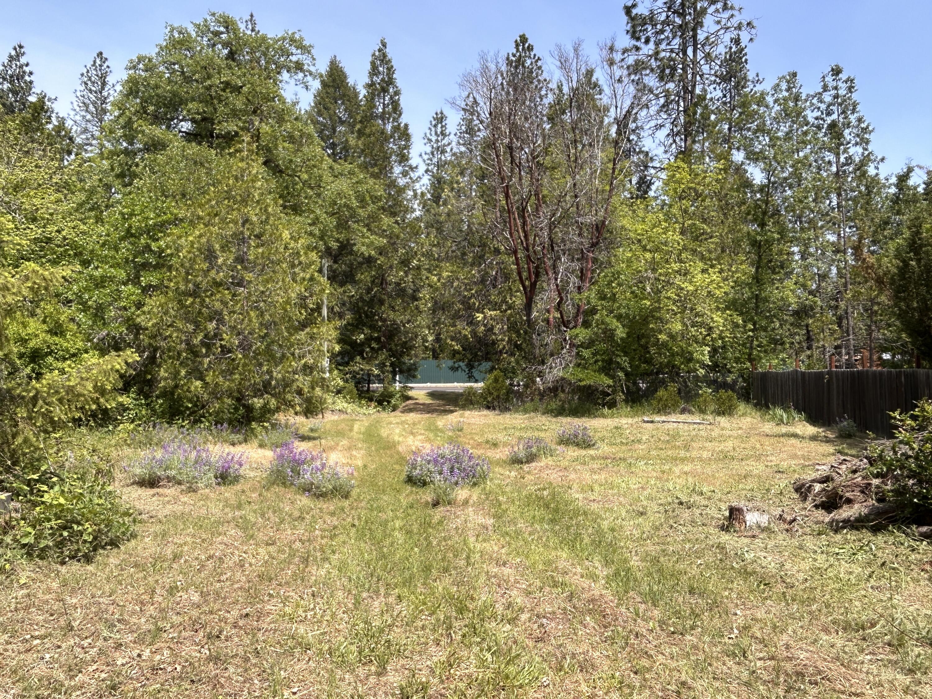 1773 Cedar Flat Road Williams, OR 97544 - Photo 6 of 13 a view of a yard with a tree