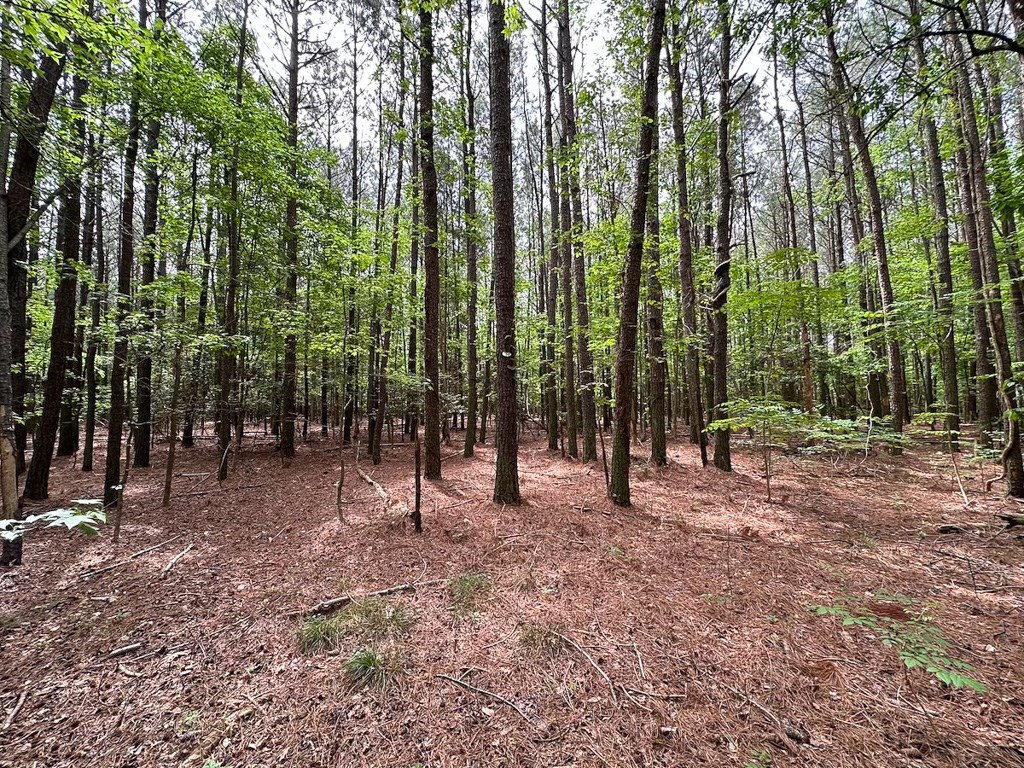 1.75-ac 1.75-ac Kegotank Road, Unit 2 Bloxom, VA 23308 - Photo 4 of 18
