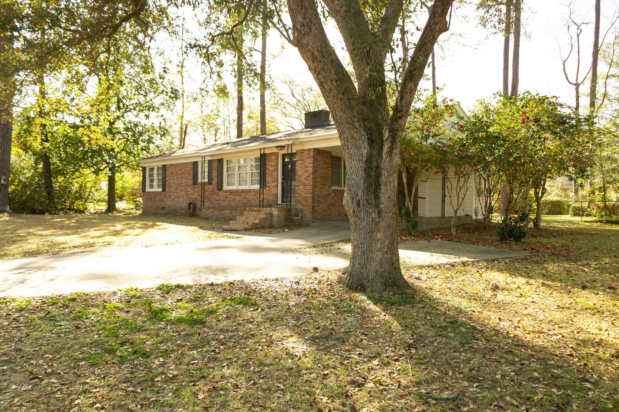 202 Churchill Road Walterboro, SC 29488 - Photo 4 of 47 3T6A1516