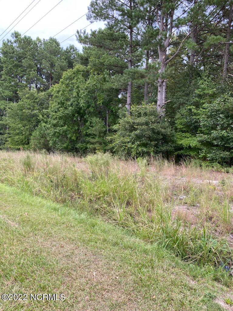 Tr#2 Powell Farm Road Lillington, NC 27546 - Photo 1 of 3 Front View