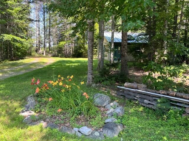 17 Carlisle Road Surry, ME 04684 - Photo 50 of 60 IMG_7265