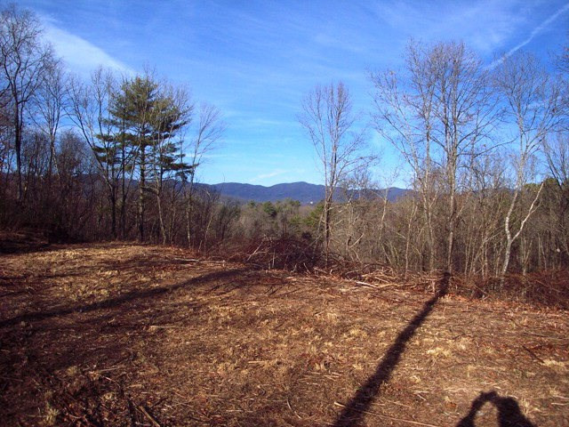 Lot #7 Chestnut Flts Road Andrews, NC 28901 - Photo 4 of 6