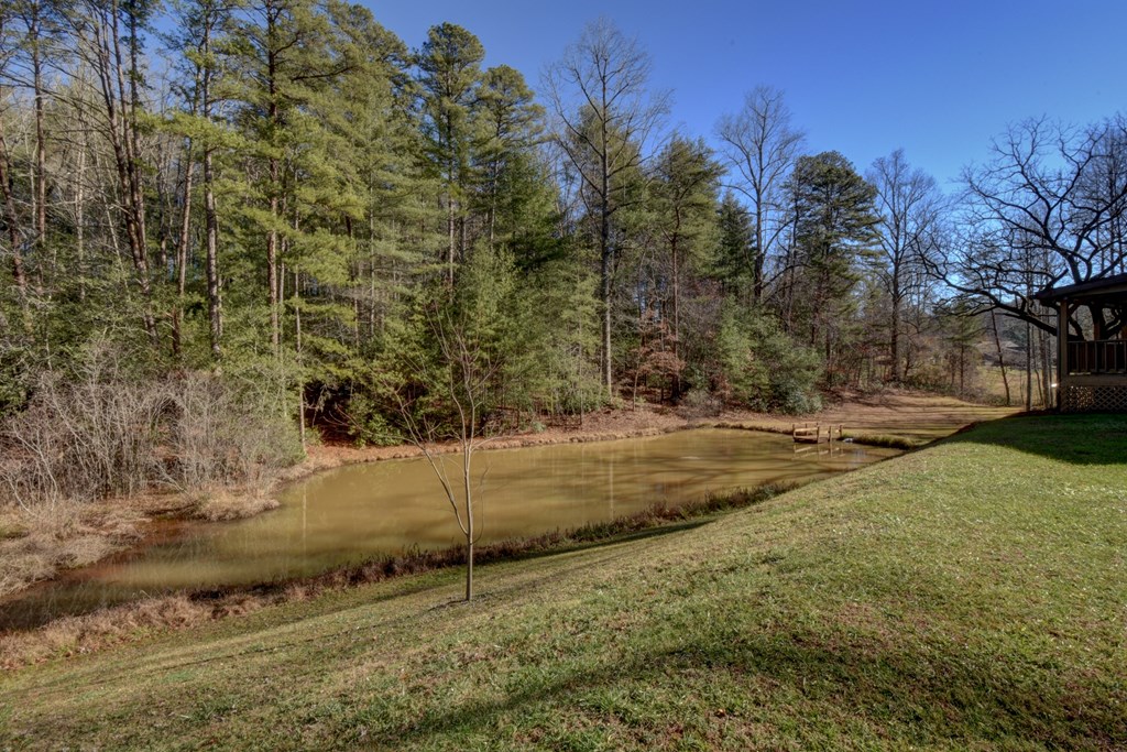 100 Saga Mountain Road Tiger, GA 30576 - Photo 20 of 99