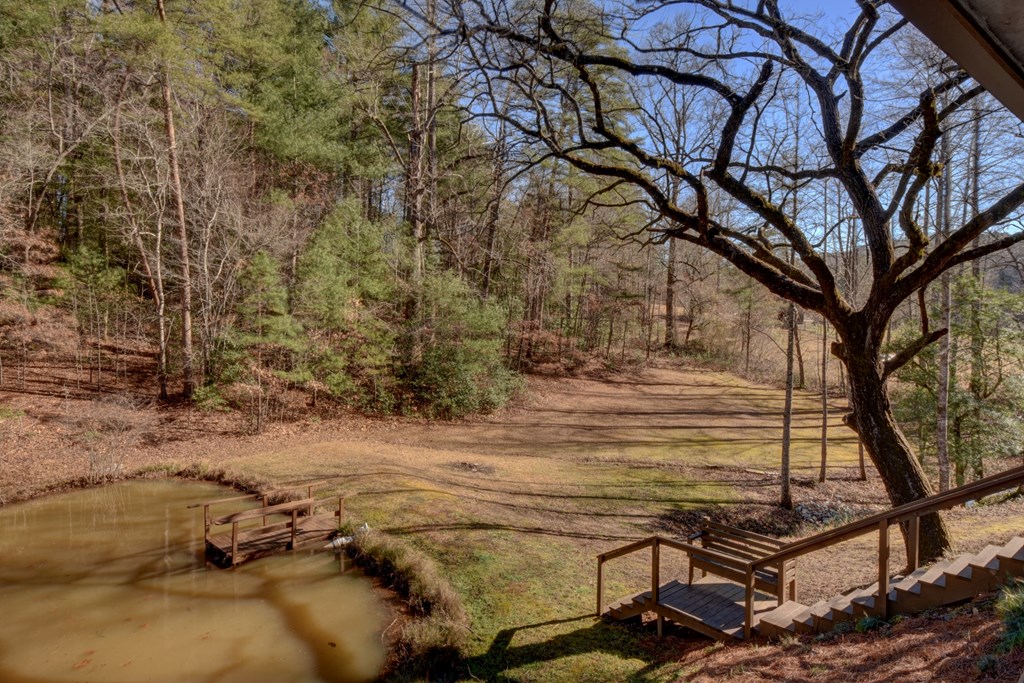 100 Saga Mountain Road Tiger, GA 30576 - Photo 51 of 99