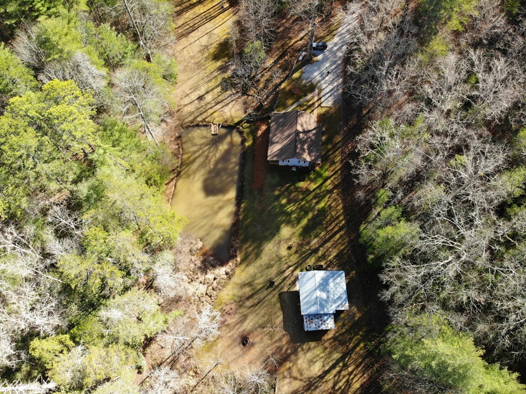 100 Saga Mountain Road Tiger, GA 30576 - Photo 69 of 99