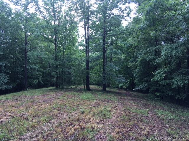 17 Silver Ridge Road, Unit 17 Mill Spring, NC 28756 - Photo 2 of 5