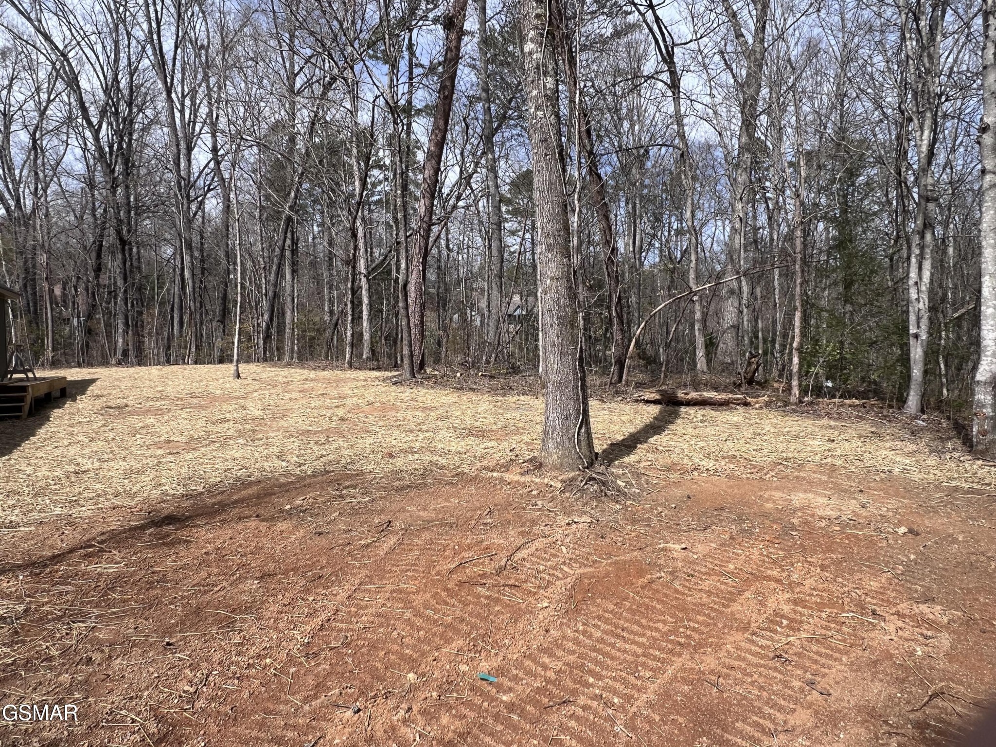 1404 Timber Trail Newport, TN 37821 - Photo 3 of 20 Gallery Image 3