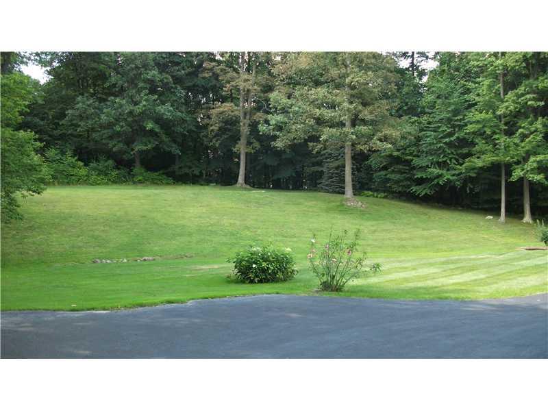 1923 Grove Chapel Road Indiana, PA 15701 - Photo 8 of 10 Yard/Garden.
