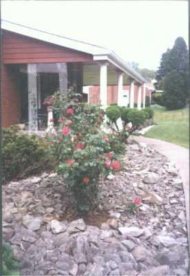 5522 Glass Road Pittsburgh, PA 15205 - Photo 8 of 8 Yard/Garden.
