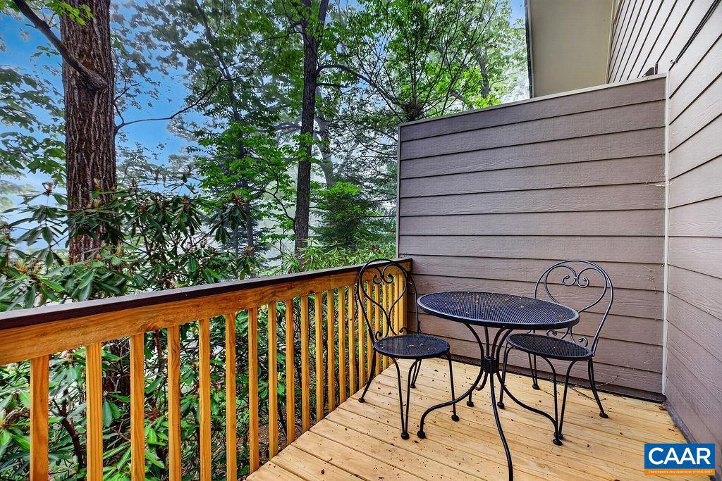 473 Three Ridges Roseland, VA 22967 - Photo 11 of 21