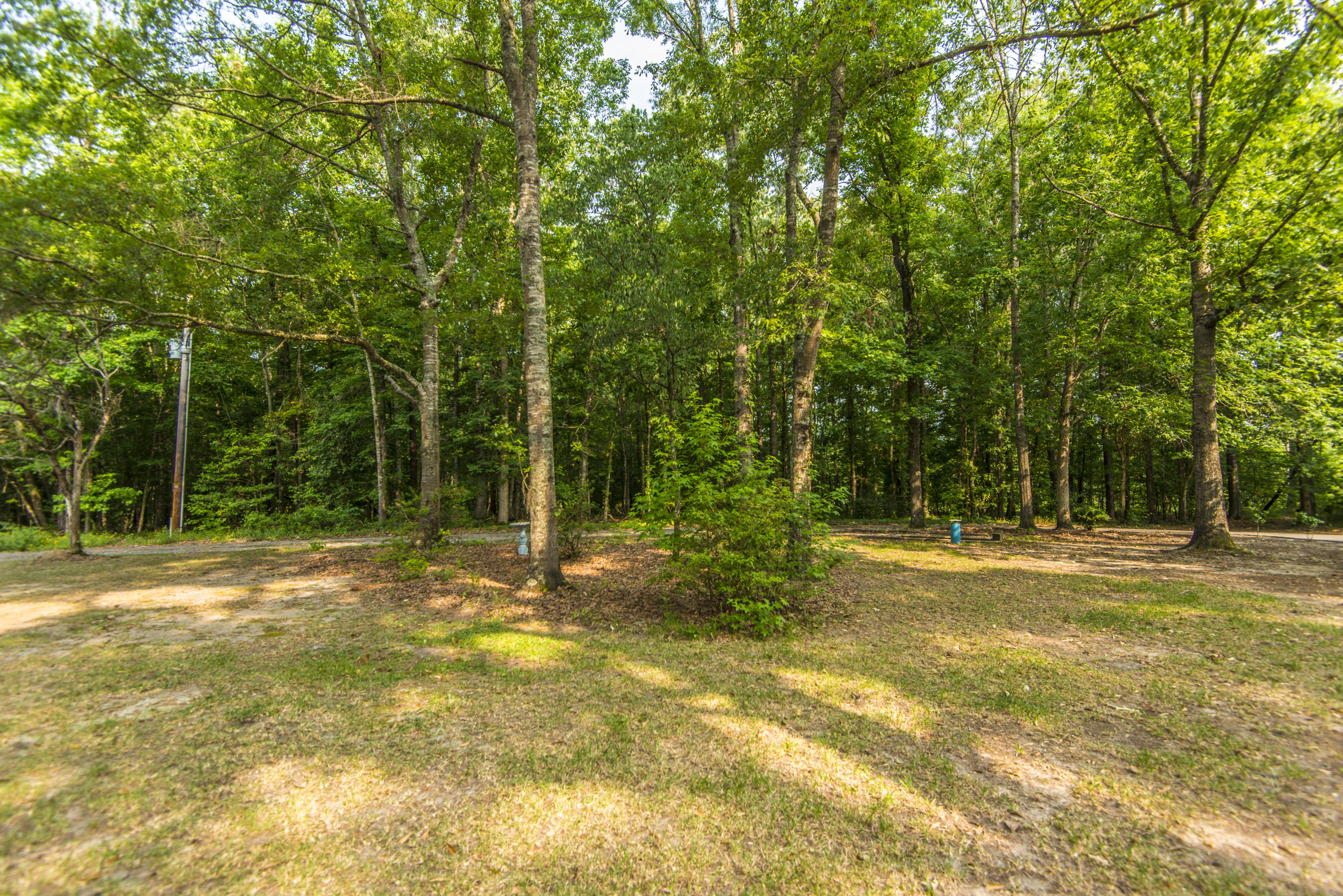 156 Virginia Avenue Ridgeville, SC 29472 - Photo 5 of 51 _DSC5206