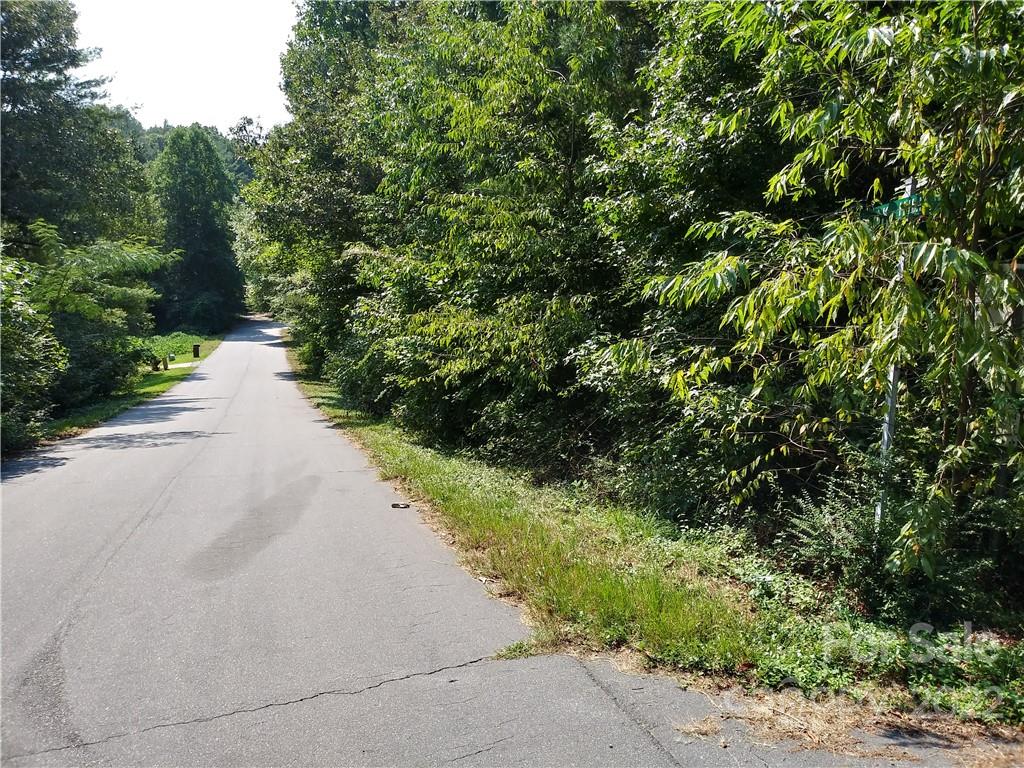 0 Falling Brook, Unit 67 & 68 Morganton, NC 28655 - Photo 1 of 10 a view of a road with plants on both side of it