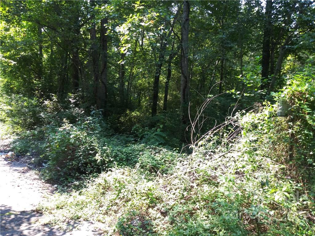 0 Falling Brook, Unit 67 & 68 Morganton, NC 28655 - Photo 2 of 10 a view of a forest with trees in the background
