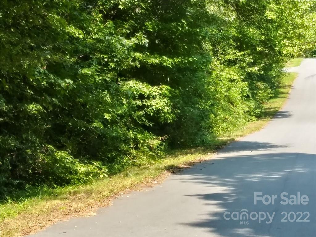 0 Falling Brook, Unit 67 & 68 Morganton, NC 28655 - Photo 3 of 10 a view of a yard