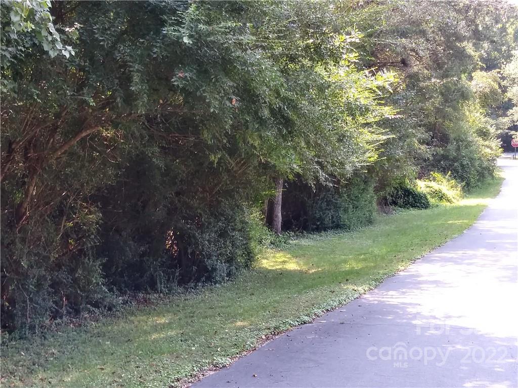 0 Falling Brook, Unit 67 & 68 Morganton, NC 28655 - Photo 7 of 10 a view of a yard with large trees