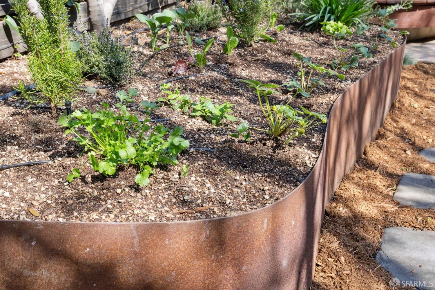 2341 Carleton Street Berkeley, CA 94704 - Photo 59 of 66 a view of a garden with plants