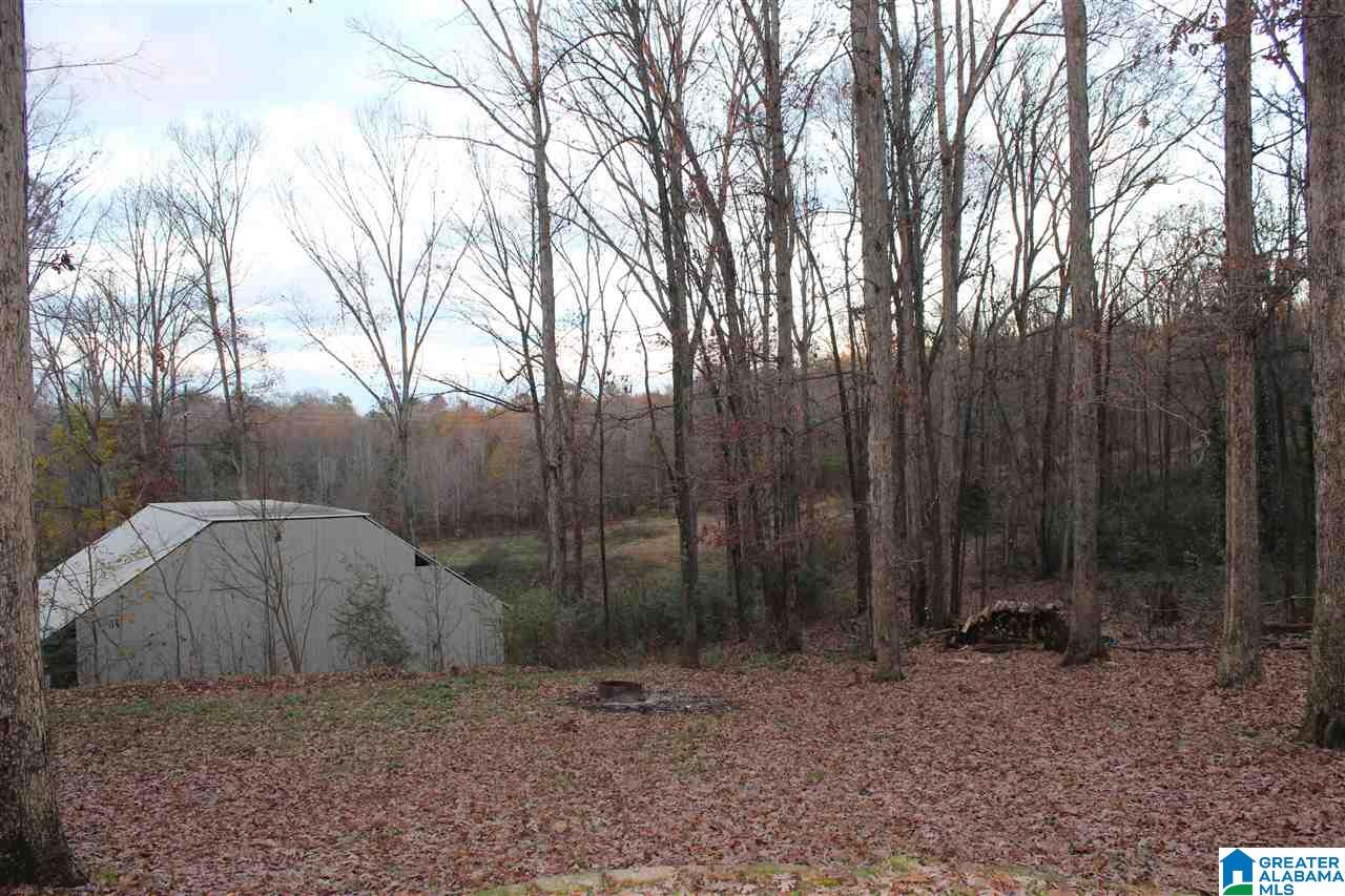 334 Old Coldwater Road Anniston, AL 36201 - Photo 28 of 38