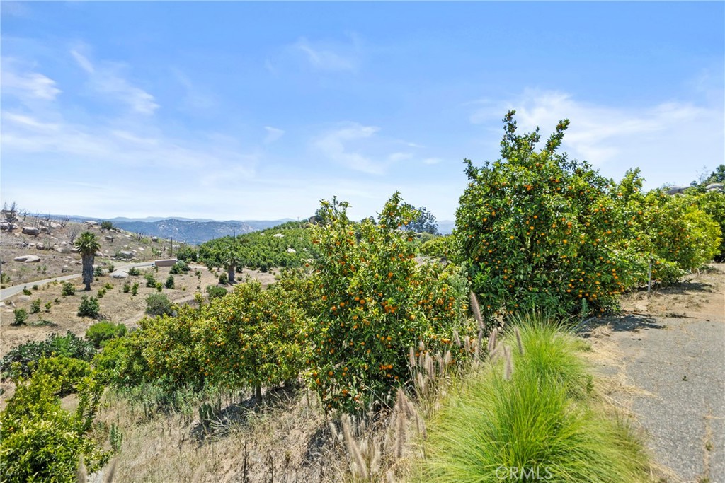 1252 Rancho Luiseno Road Escondido, CA 92026 - Photo 37 of 42