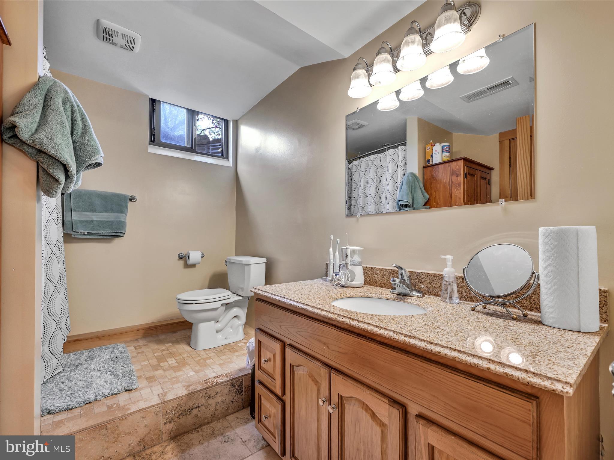 87 South Mountain Road Robesonia, PA 19551 - Photo 20 of 75 Primary Bathroom