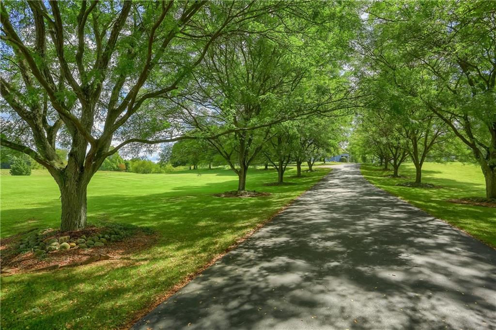 180 Brandon Road Slippery Rock, PA 16057 - Photo 10 of 50 MAGNIFICENT tree lined, and PRIVATE driveway leading up to the home.