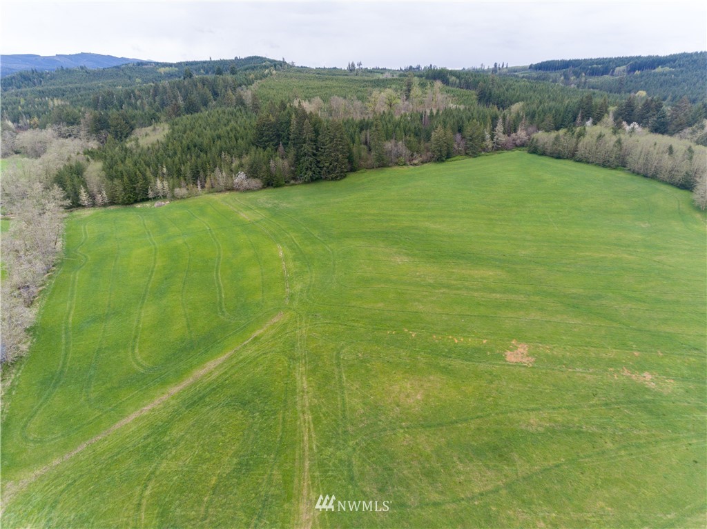 0 Lucas Creek Road Chehalis, WA 98532 - Photo 13 of 19