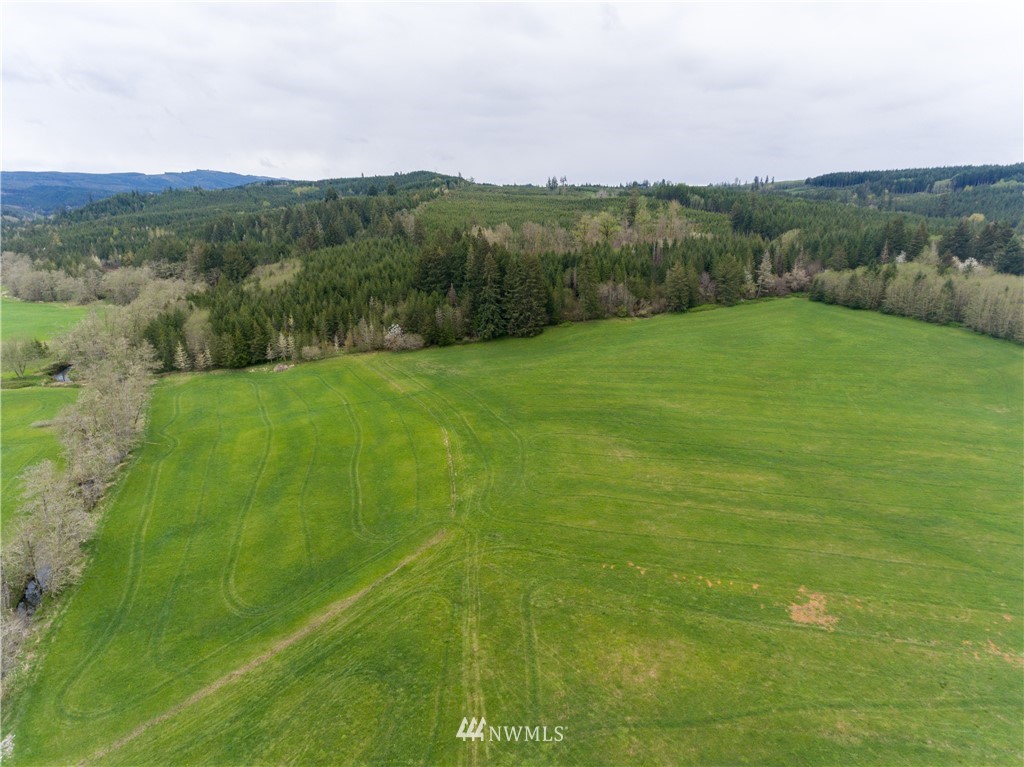 0 Lucas Creek Road Chehalis, WA 98532 - Photo 14 of 19