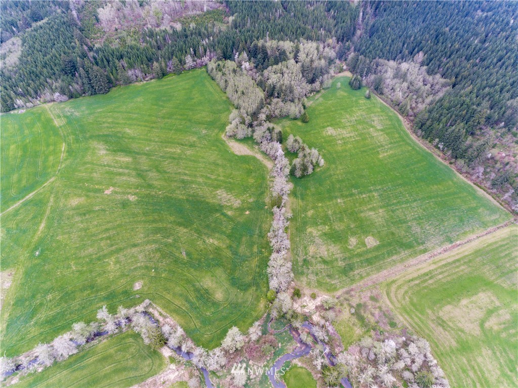 0 Lucas Creek Road Chehalis, WA 98532 - Photo 10 of 19