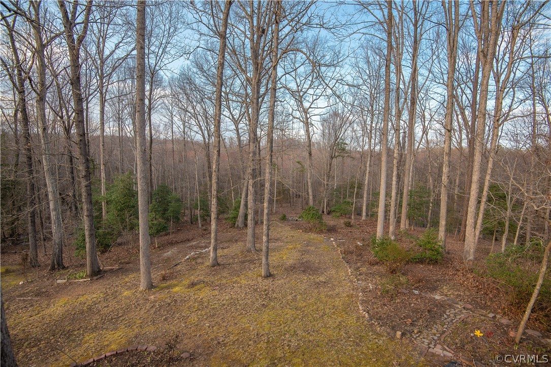 2312 Brookforest Road Midlothian, VA 23112 - Photo 15 of 39 a view of outdoor space with trees