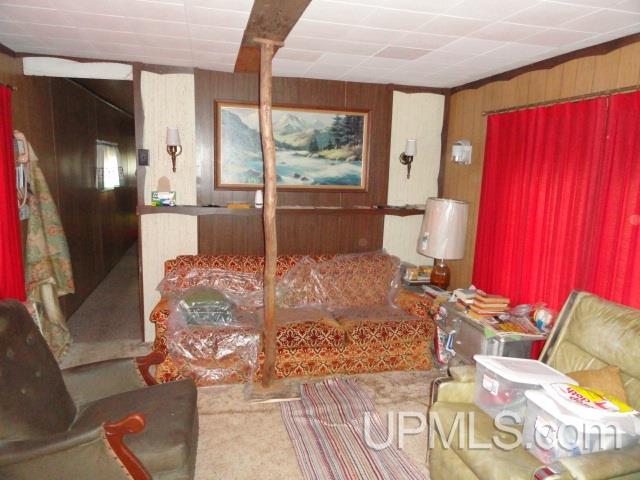 12498-12518 North Randolph Road Watton, MI 49970 - Photo 9 of 18
