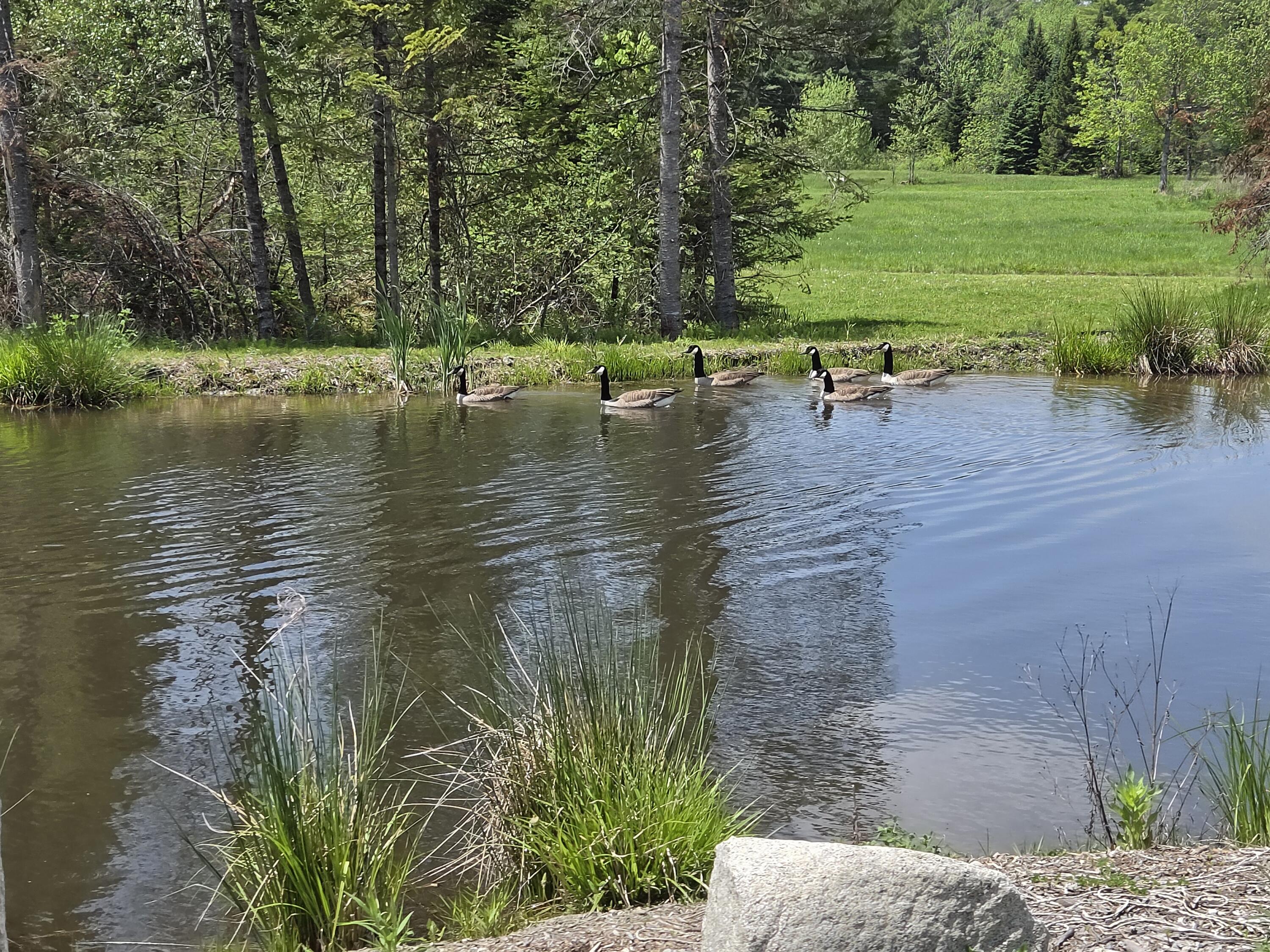 22 Bear Mountain Road Fairfield, ME 04937 - Photo 12 of 12