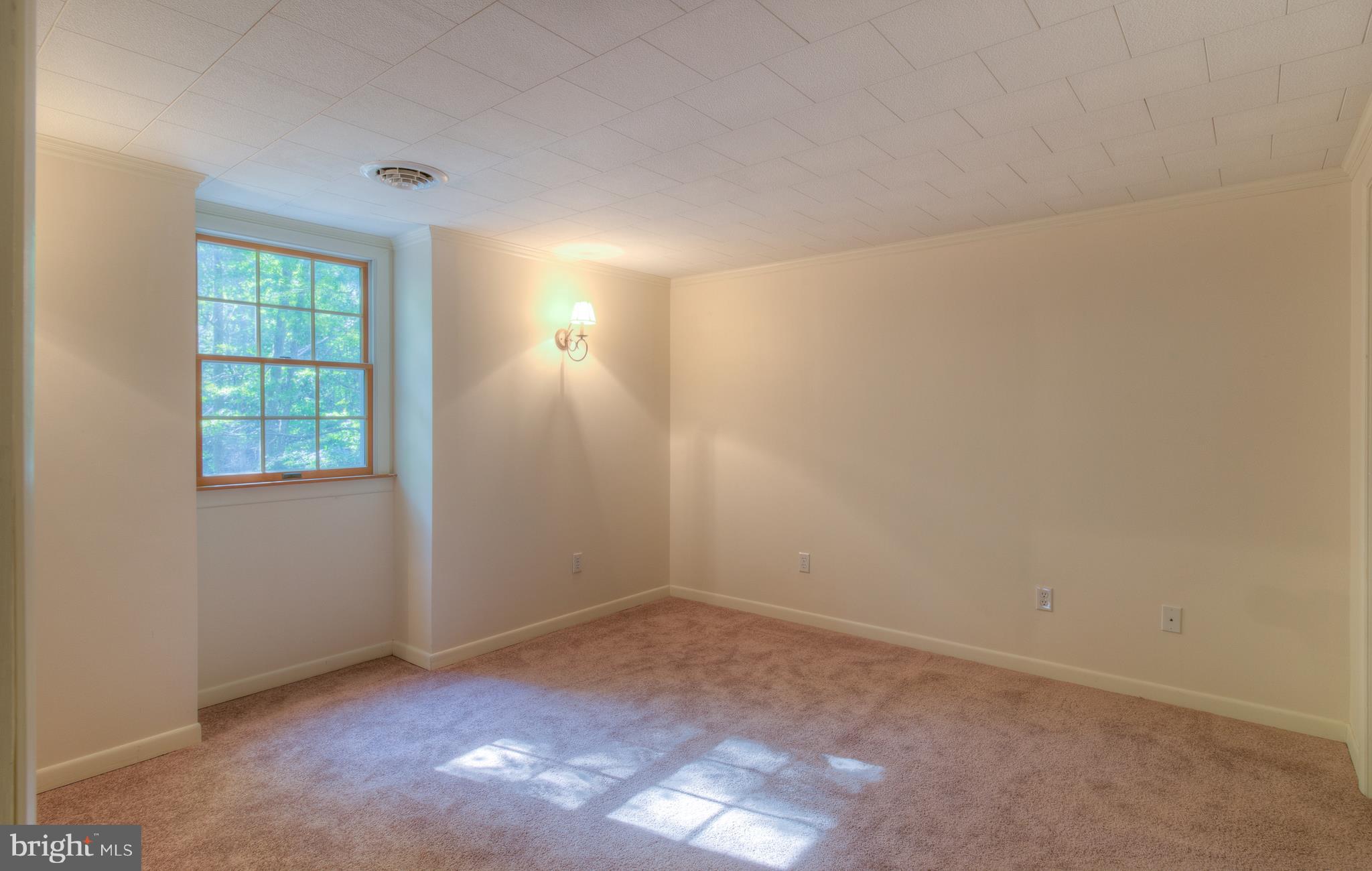 21203 Tanyard Road Preston, MD 21655 - Photo 15 of 21