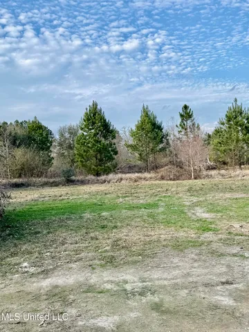 $325,000 | 7005 Whites Farm Road, Lucedale, MS 39452