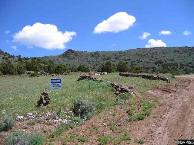 a view of a dry yard with a tree