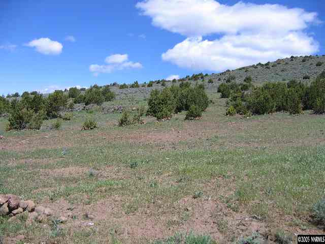 300 Microwave Road Reno, NV 89510 - Photo 2 of 3 a view of a yard with a tree