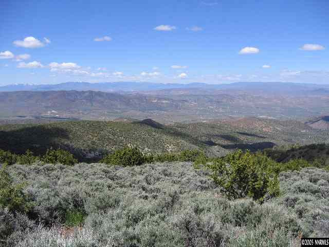 300 Microwave Road Reno, NV 89510 - Photo 3 of 3 a view of a yard with a mountain