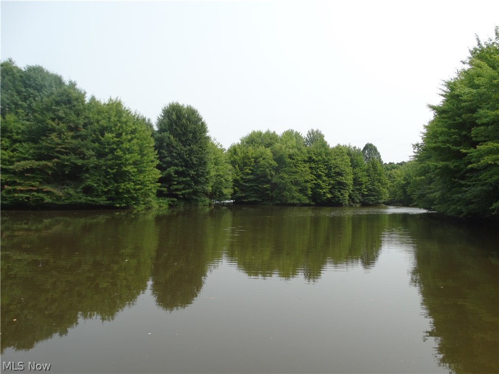 5534 Gibbs Road Andover, OH 44003 - Photo 13 of 32 lake