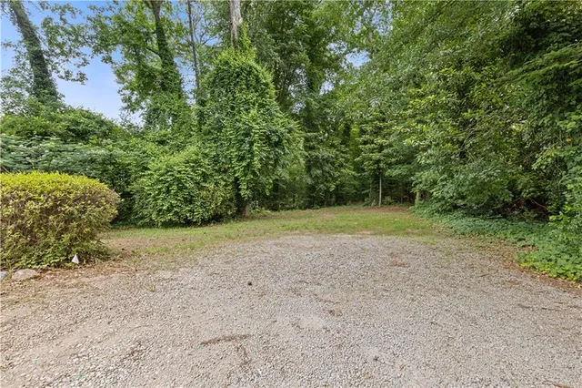 a view of a field with plants and trees