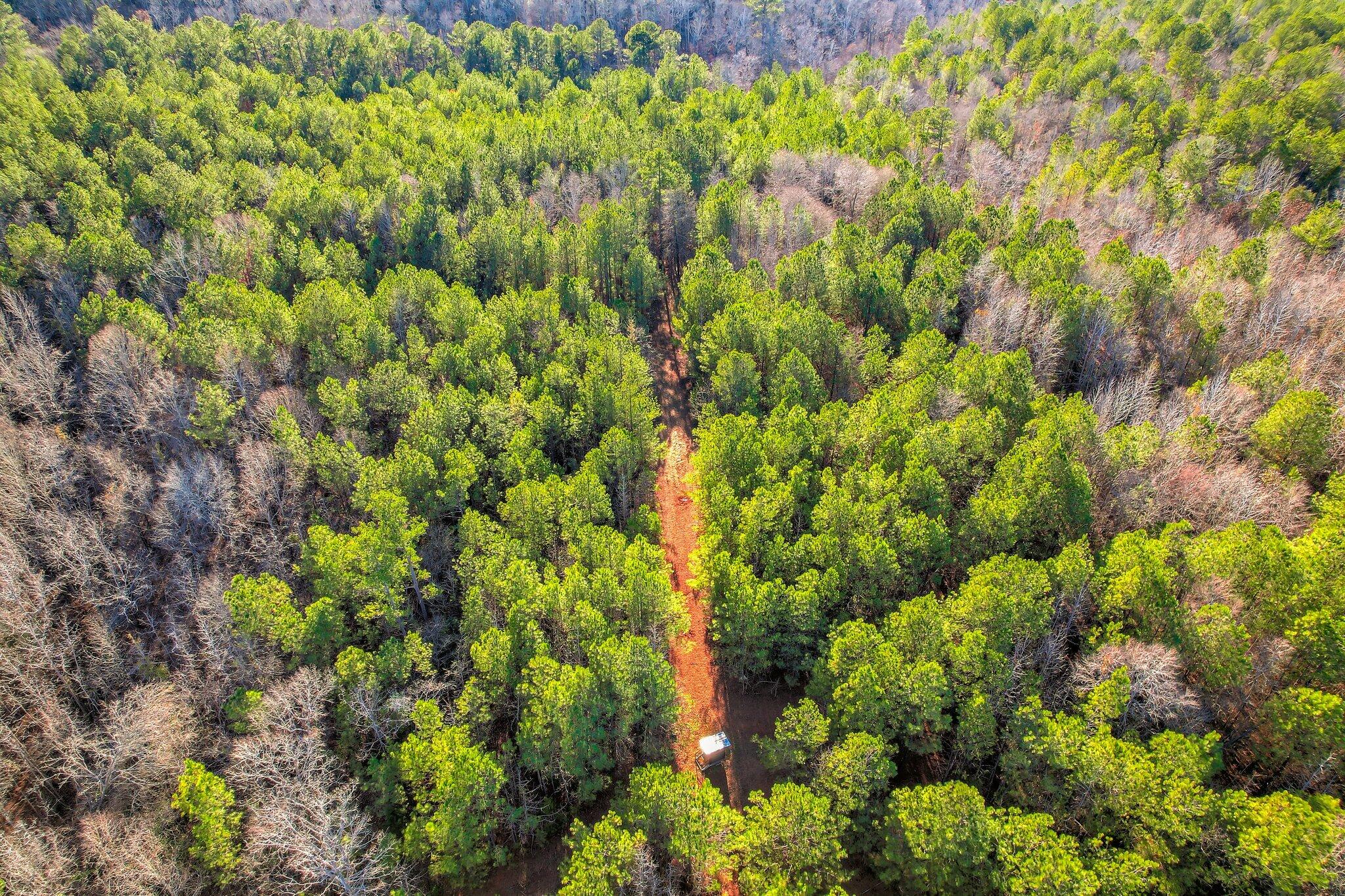 5479 Tubman Road Appling, GA 30802 - Photo 4 of 6 111 (7)