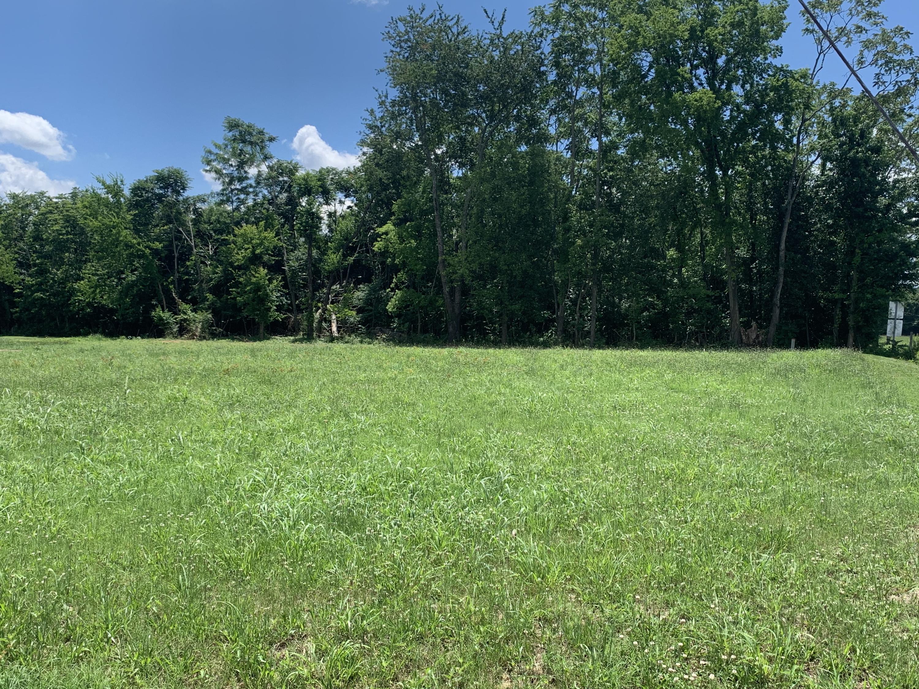 804 Harrison Ferry Road Baneberry, TN 37890 - Photo 2 of 4 E Atherton Lane 2