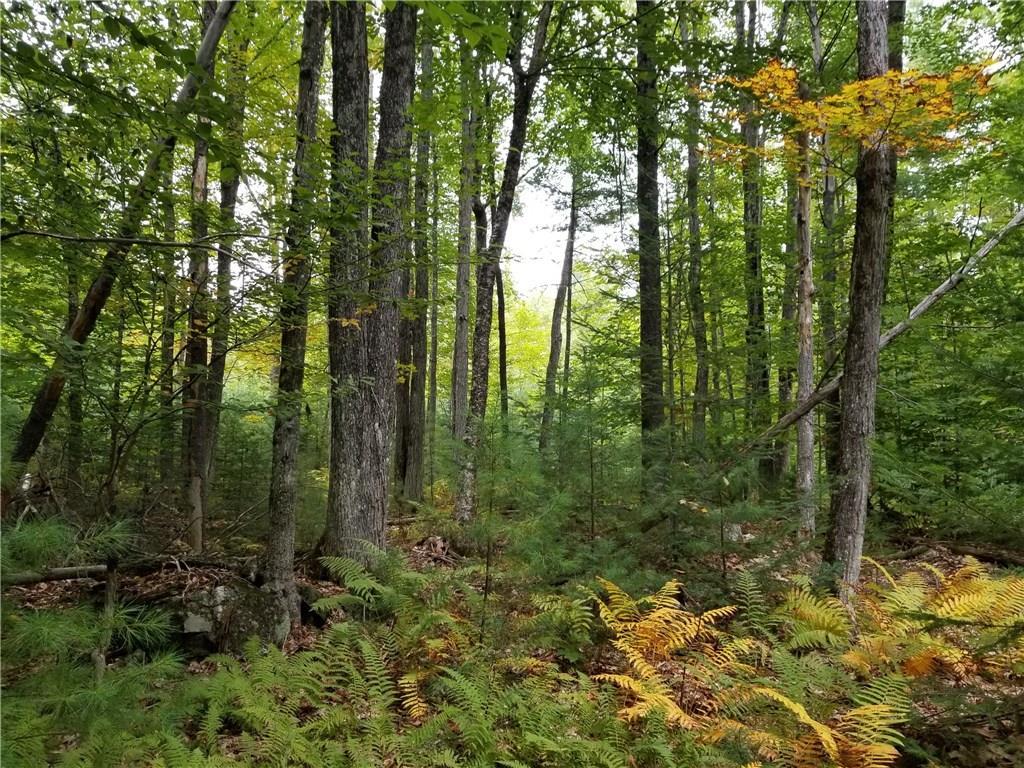 0 Brock School Road Buckfield, ME 04220 - Photo 1 of 19 Photo