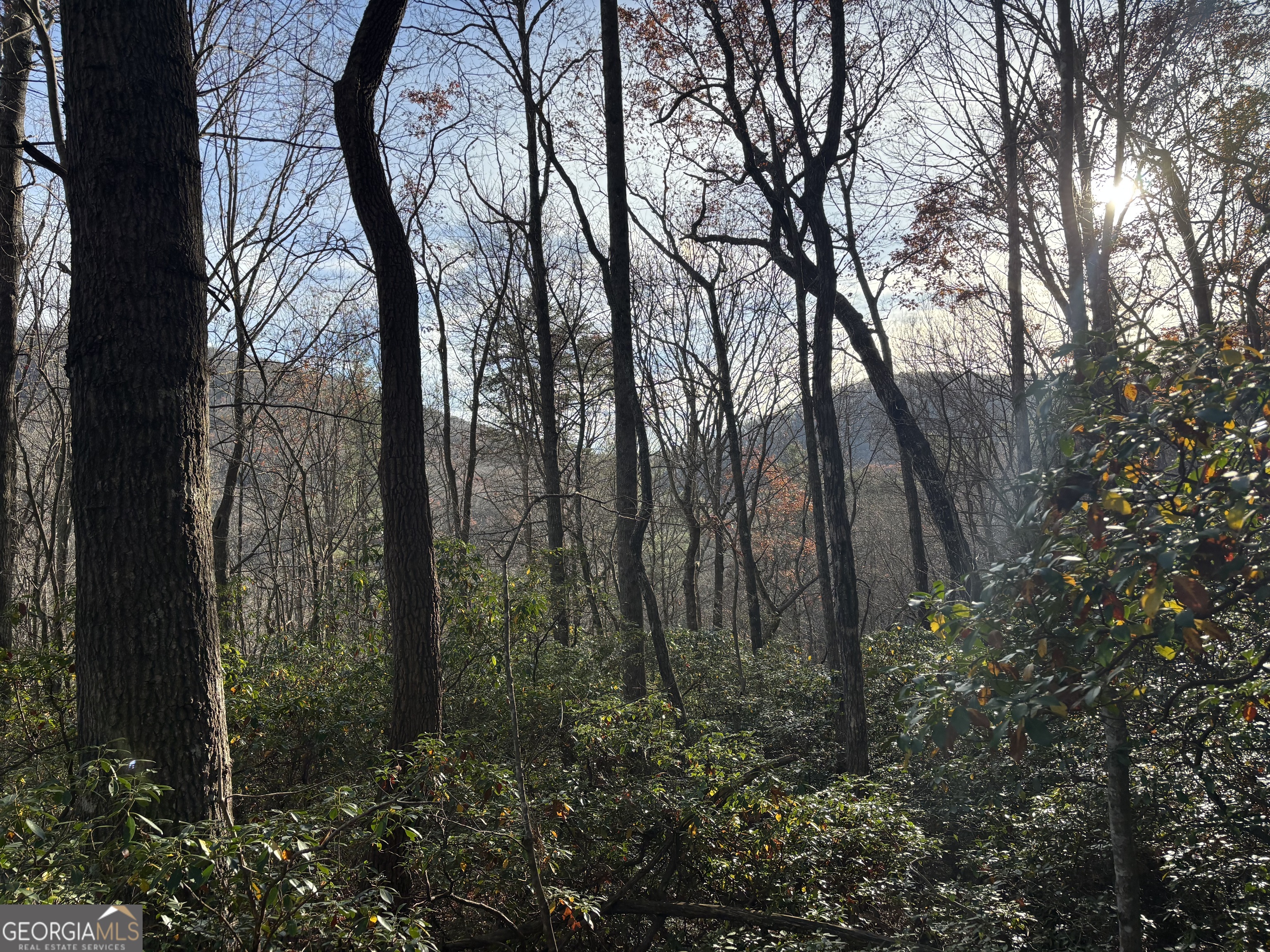 9-65ac Wilkins Cove Road Suches, GA 30572 - Photo 11 of 13 a view of outdoor space and yard