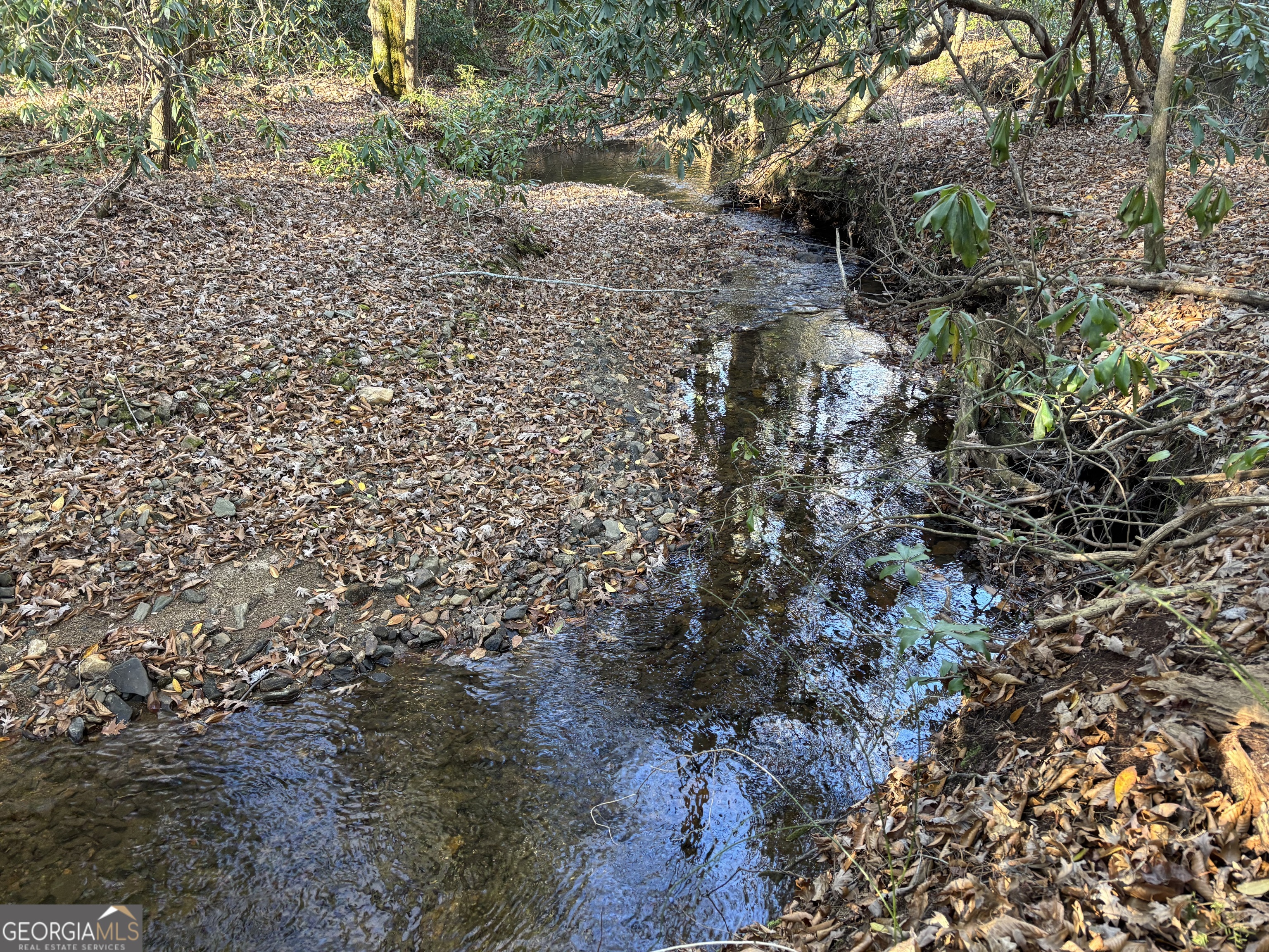 9-65ac Wilkins Cove Road Suches, GA 30572 - Photo 9 of 13 a view of a yard with plants and trees