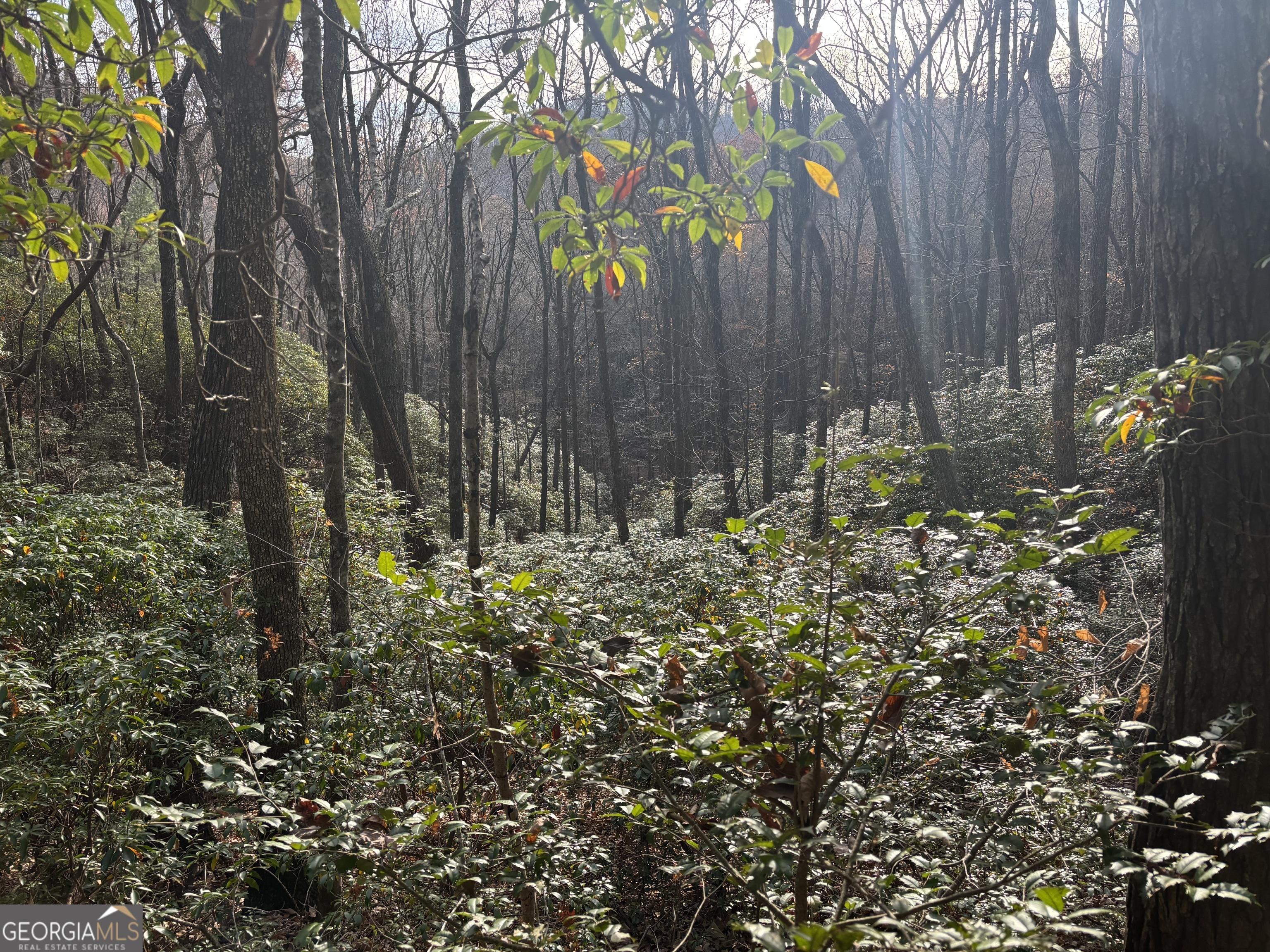 9-65ac Wilkins Cove Road Suches, GA 30572 - Photo 10 of 13