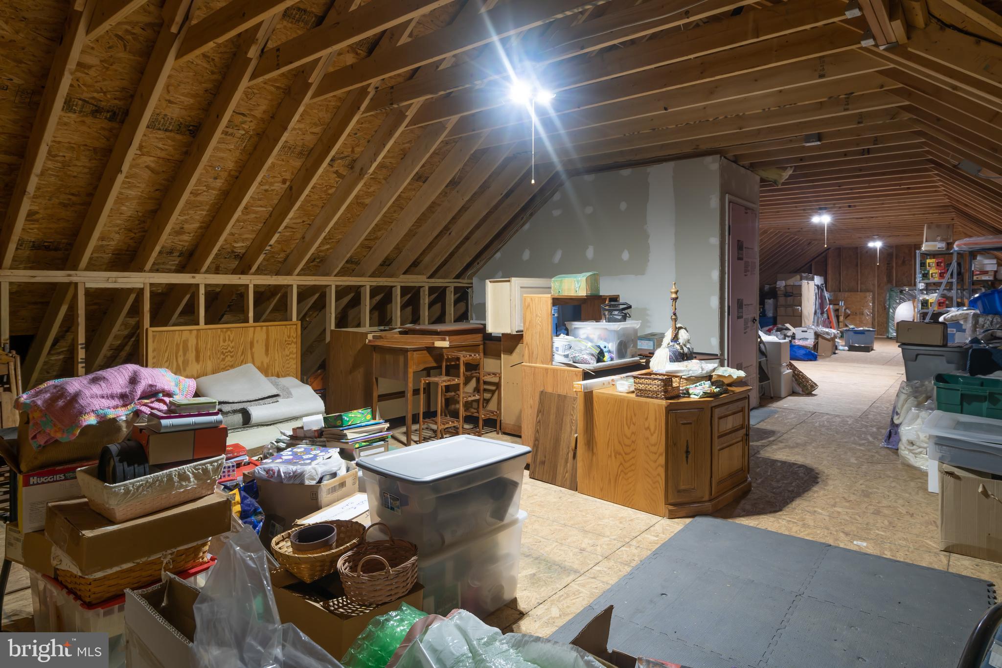 15563 Wilson Hill Road Georgetown, DE 19947 - Photo 42 of 50 Incredible attic space