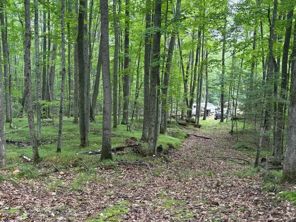 $95,000 | W15795 Fawn Acres Road, Fence, WI 54120