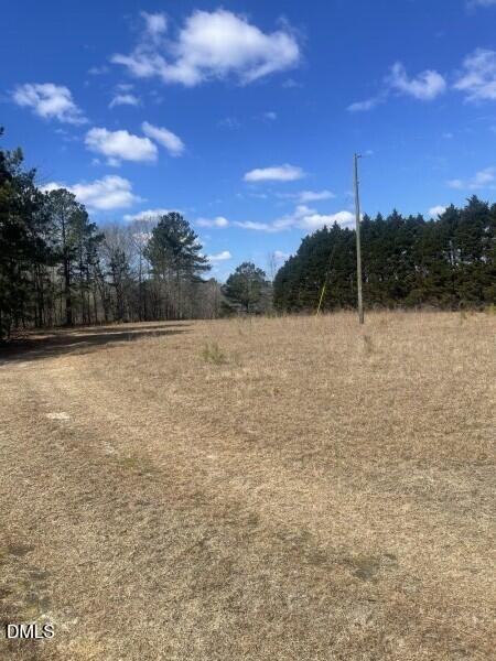 0 North Horace Walters Road Raeford, NC 28376 - Photo 3 of 6 Hoke 3