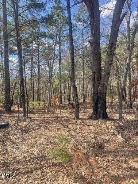 0 North Horace Walters Road Raeford, NC 28376 - Photo 5 of 6 Hoke 6